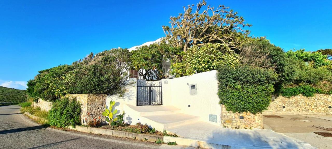 Guest House Villa Il Gabbiano Ponza Exterior foto